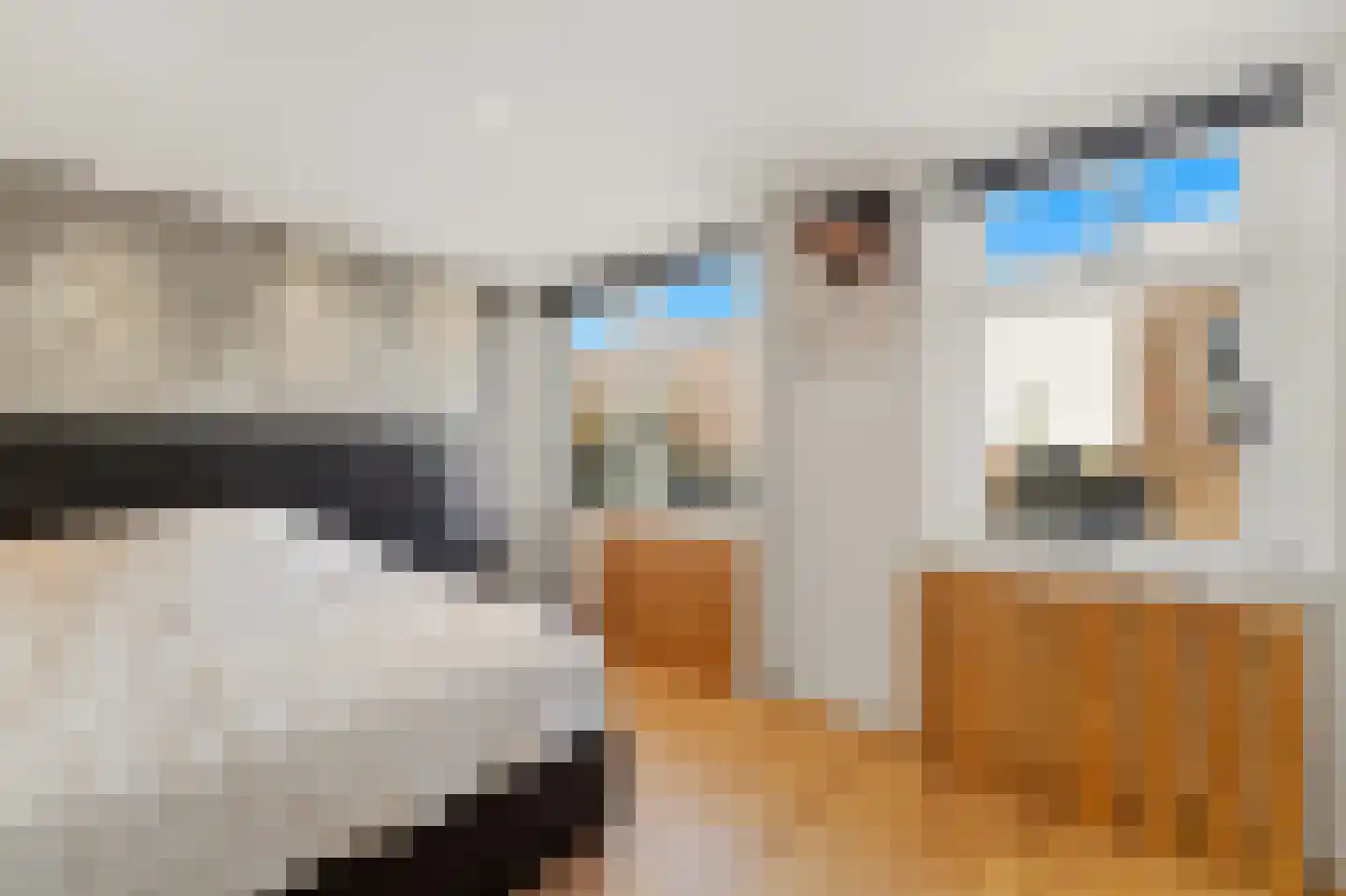 Brugstraat 4 Schipluiden thumbnail 32