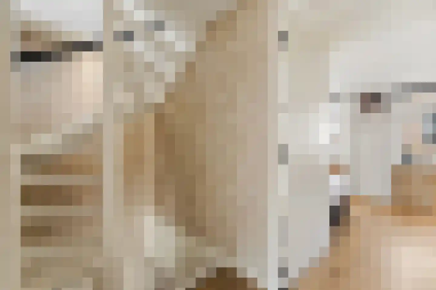 Brugstraat 4 Schipluiden thumbnail 35