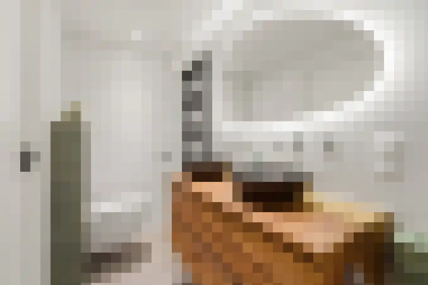 Brugstraat 4 Schipluiden thumbnail 36