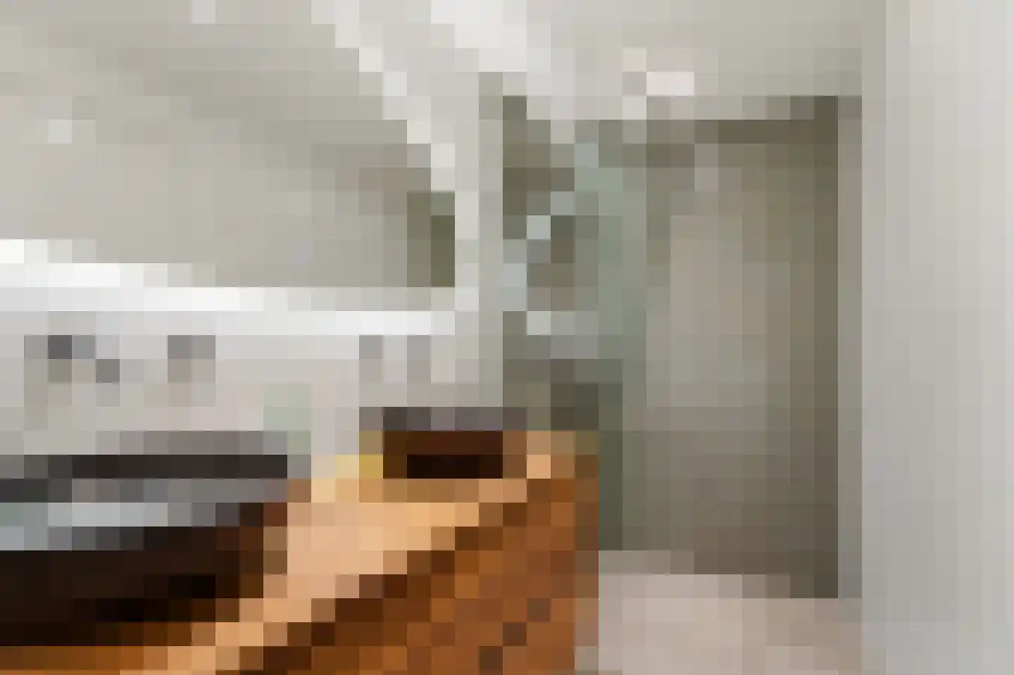 Brugstraat 4 Schipluiden thumbnail 37
