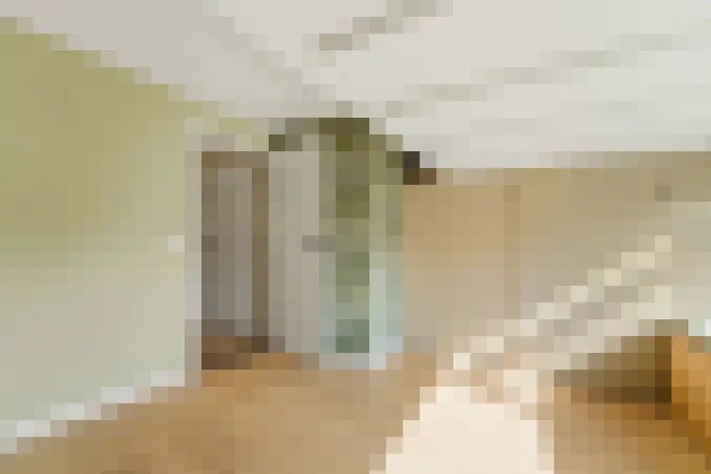 Brugstraat 4 Schipluiden thumbnail 40