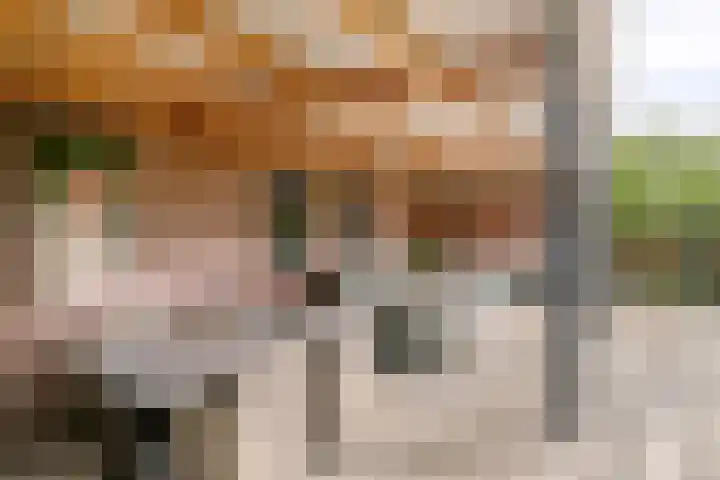 Brugstraat 41 Klazienaveen thumbnail 38