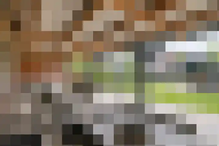 Brugstraat 41 Klazienaveen thumbnail 39