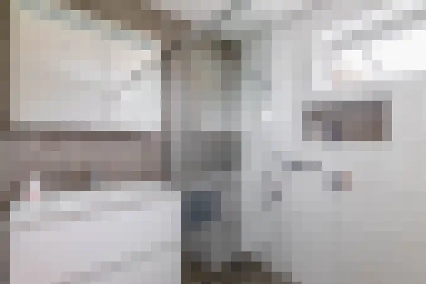 Brugstraat 48 Mierlo thumbnail 30