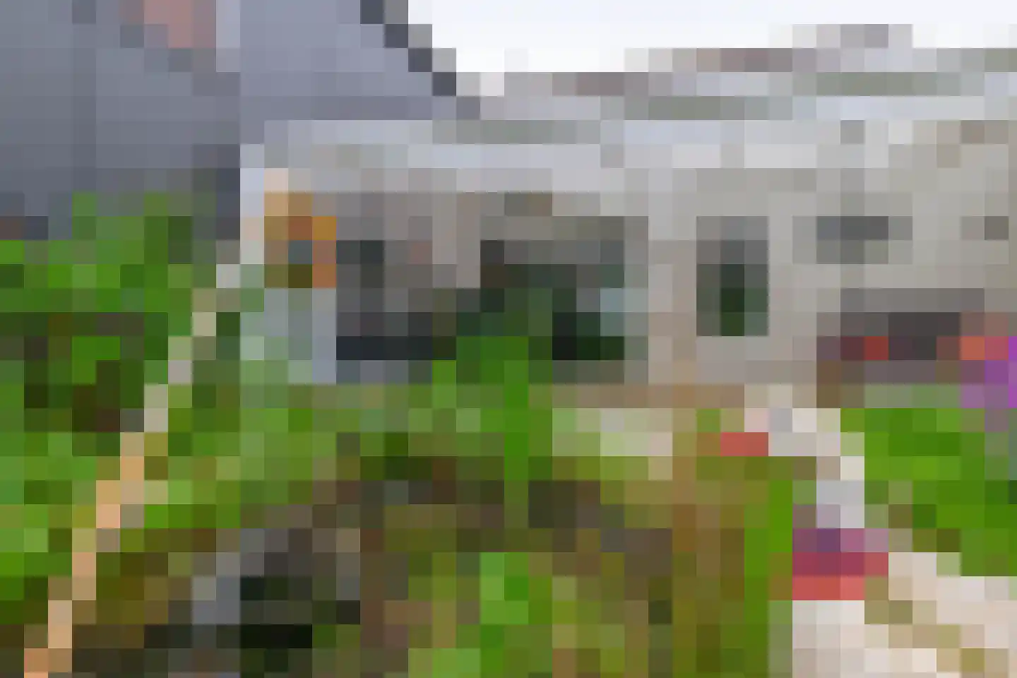 Brugstraat 48 Mierlo thumbnail 44