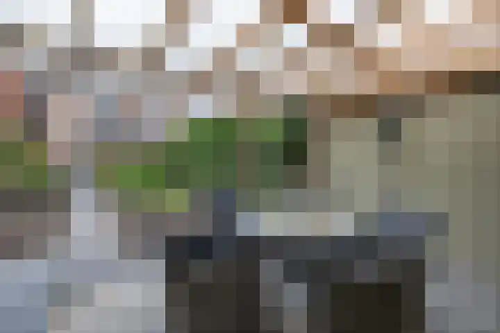 Brugstraat 49 Almelo thumbnail 25