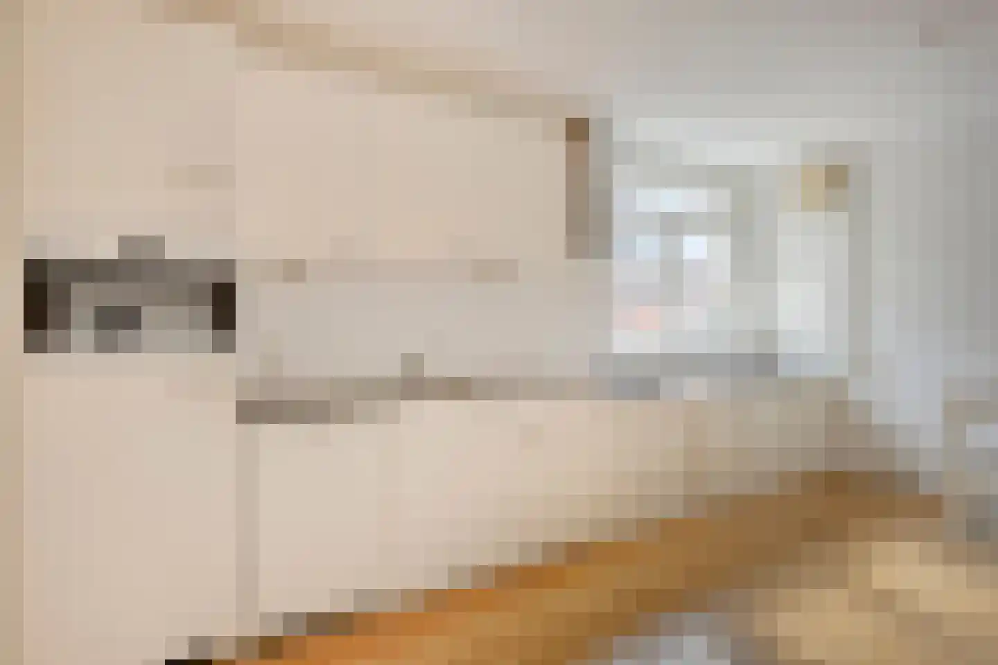 Brugstraat 5 a Grave thumbnail 8