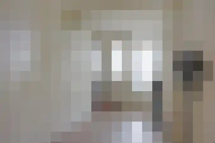 Brugstraat 5 Mierlo thumbnail 22