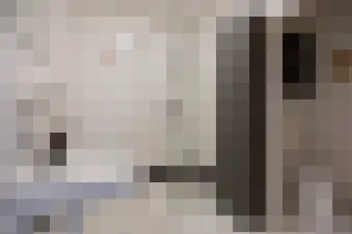 Brugstraat 5 Mierlo thumbnail 5