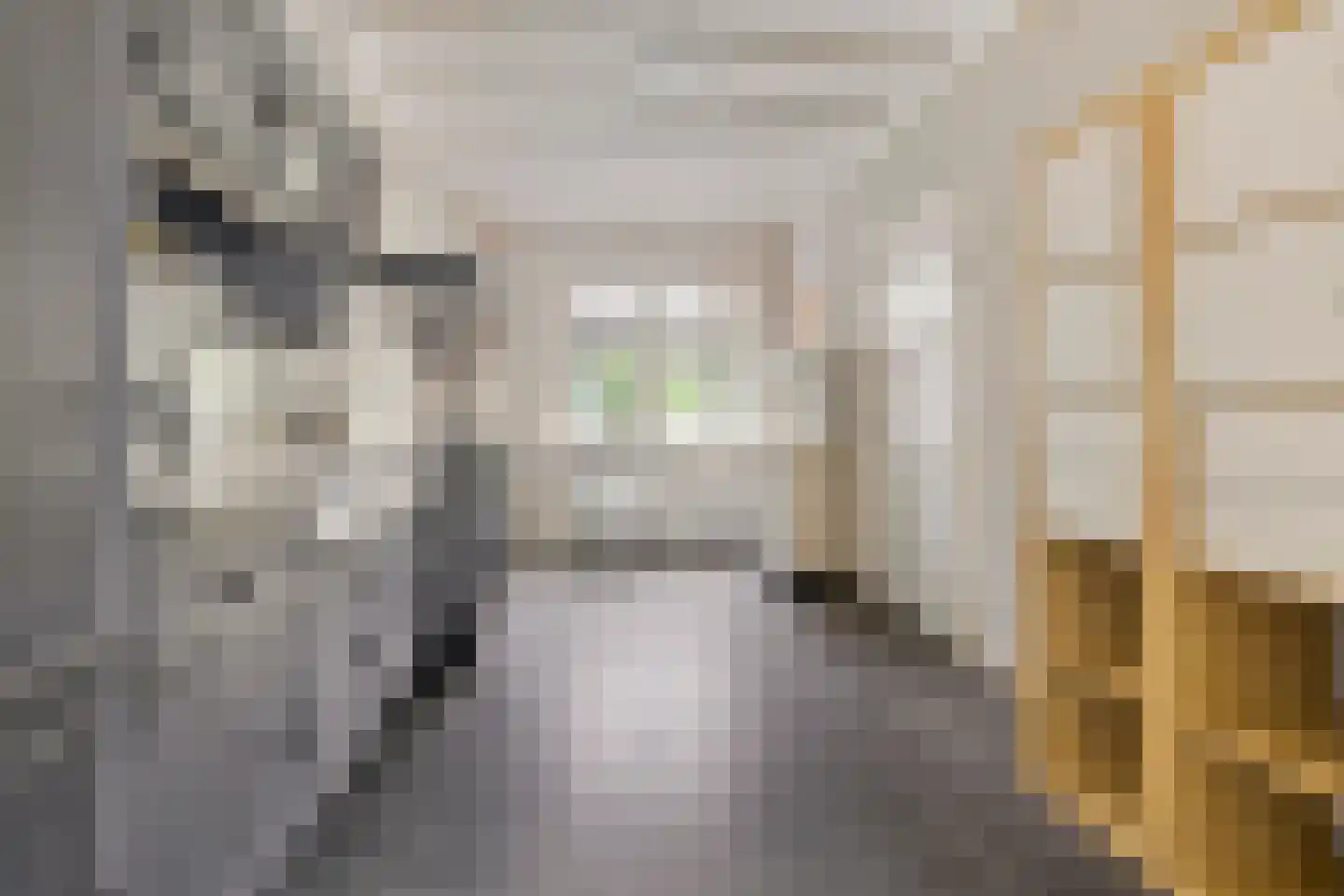 Brugstraat 5 Wanssum thumbnail 10