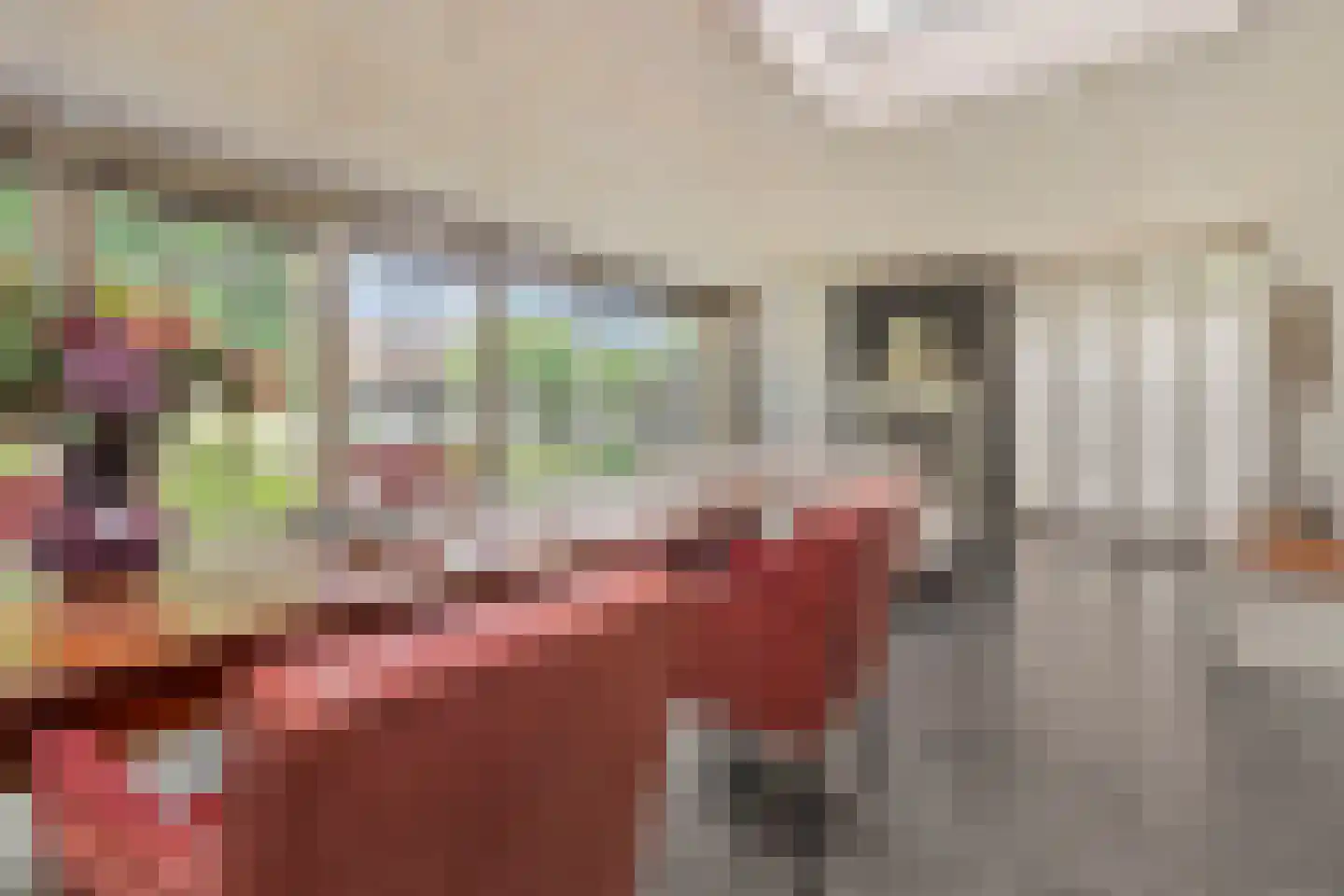 Brugstraat 5 Wanssum thumbnail 15