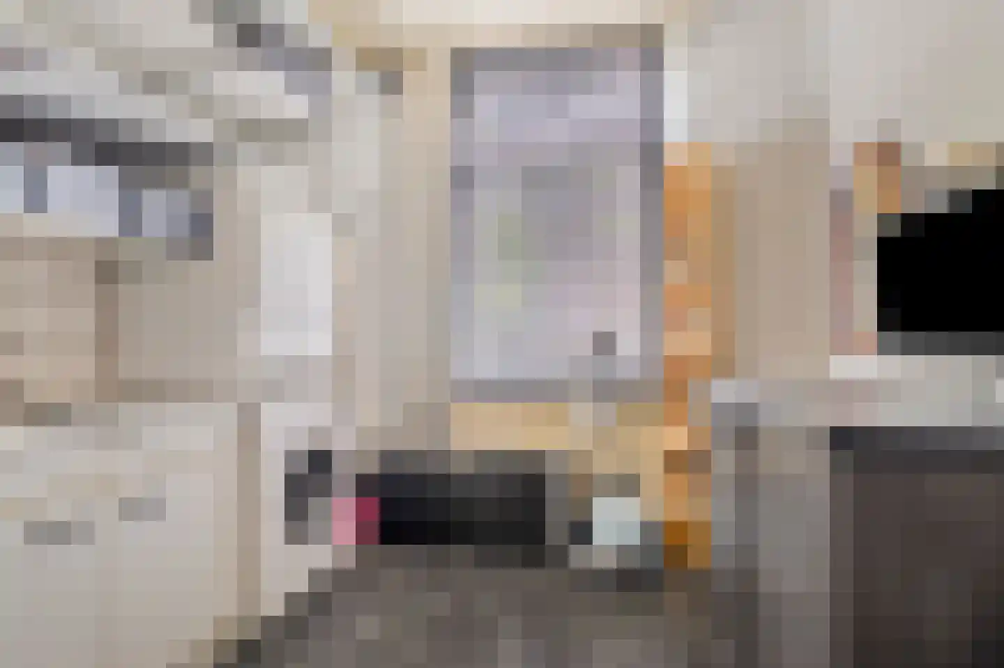 Brugstraat 5 Wanssum thumbnail 16
