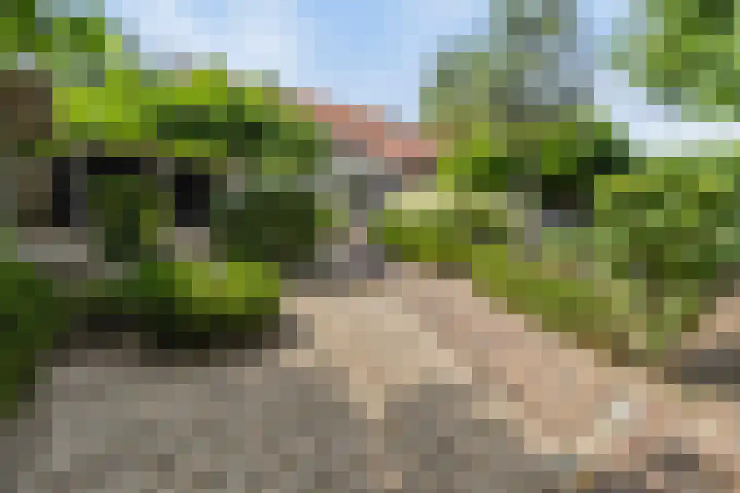 Brugstraat 5 Wanssum thumbnail 33