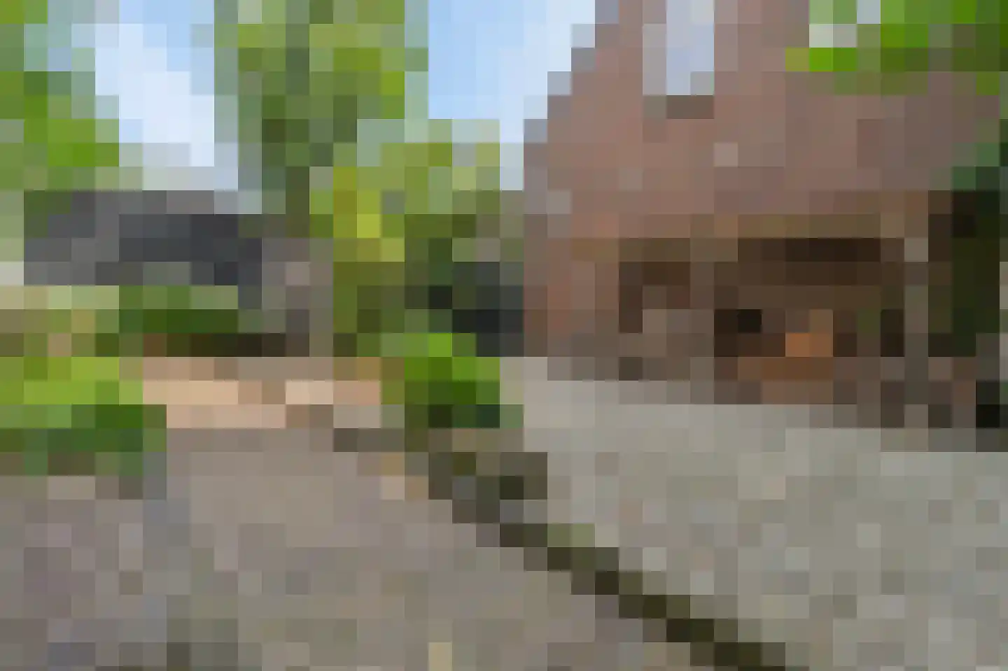 Brugstraat 5 Wanssum thumbnail 4