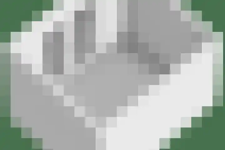 Brugstraat 5 Wanssum thumbnail 91