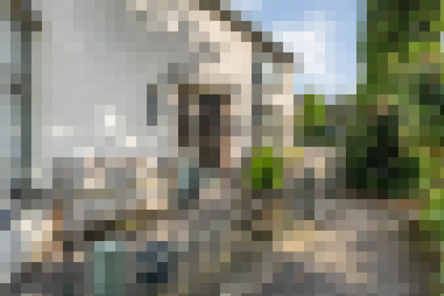 Brugstraat 55 Raalte thumbnail 56