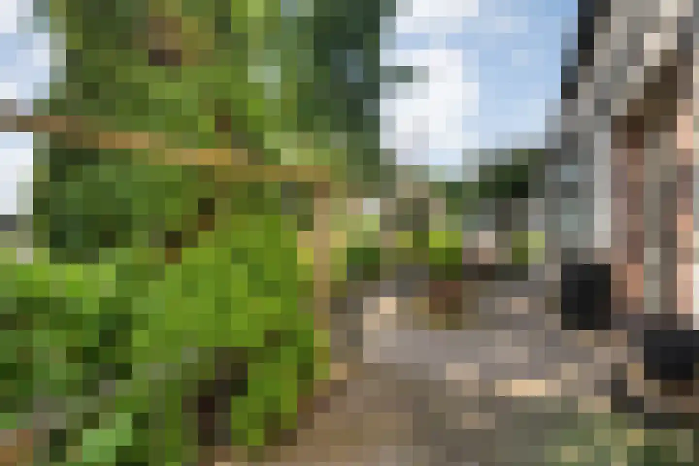 Brugstraat 55 Raalte thumbnail 57