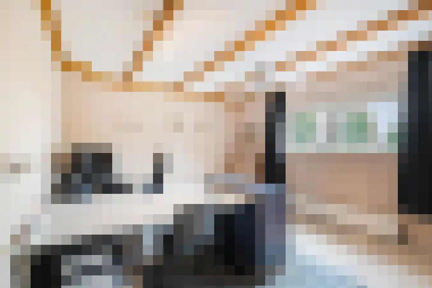 Brugstraat 59 Middenmeer thumbnail 18