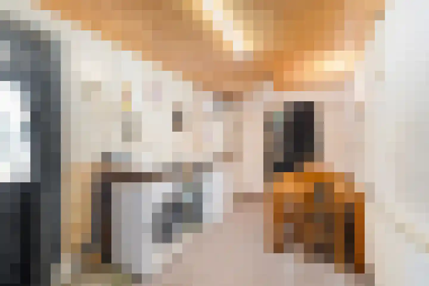 Brugstraat 59 Middenmeer thumbnail 37