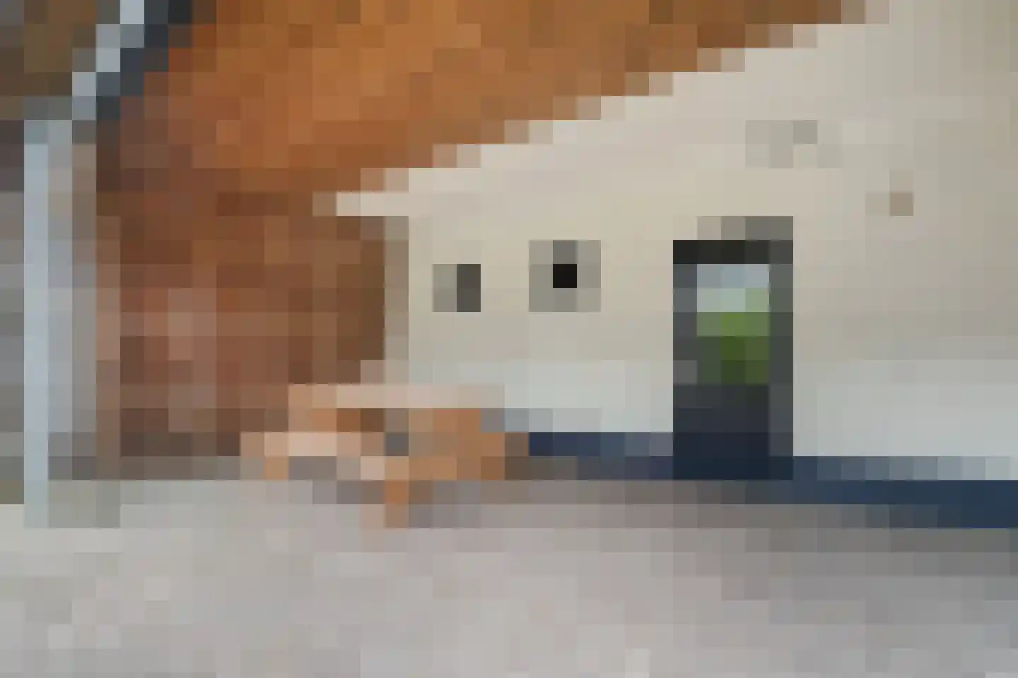 Brugstraat 59 Middenmeer thumbnail 39