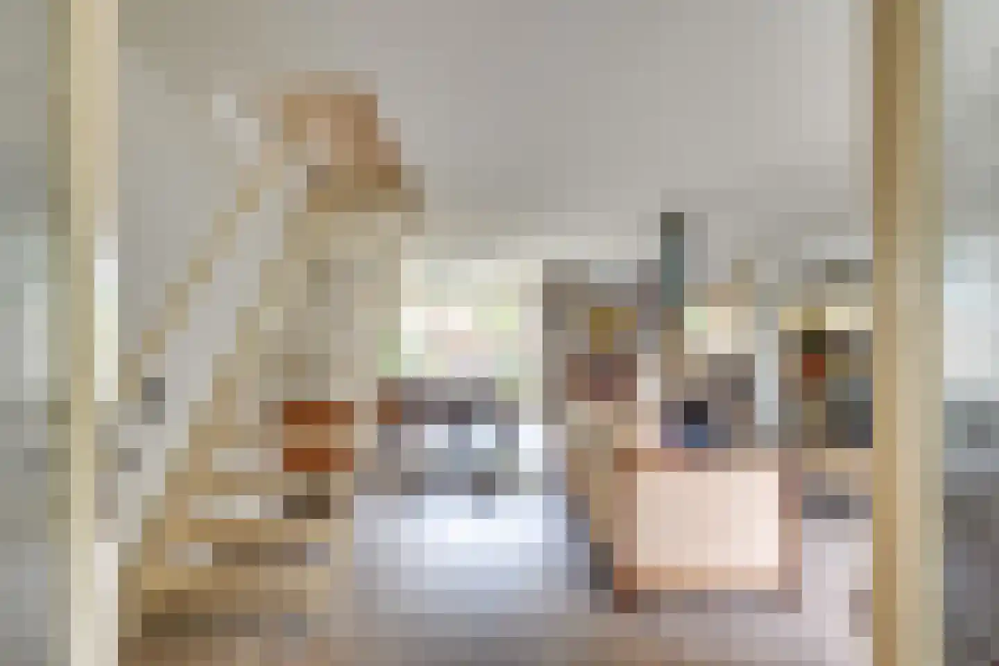 Brugstraat 6 A Mierlo thumbnail 15