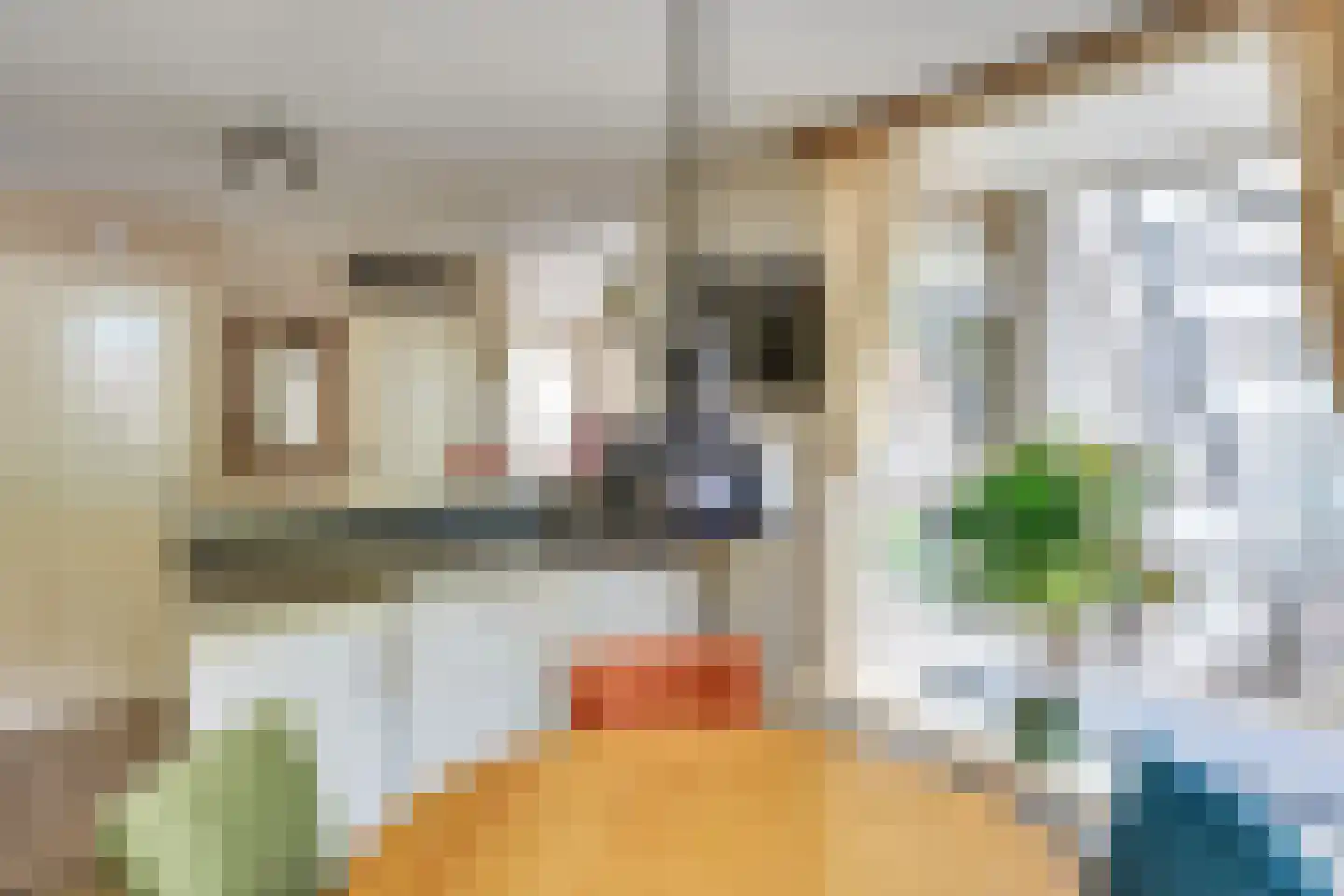 Brugstraat 6 A Mierlo thumbnail 18