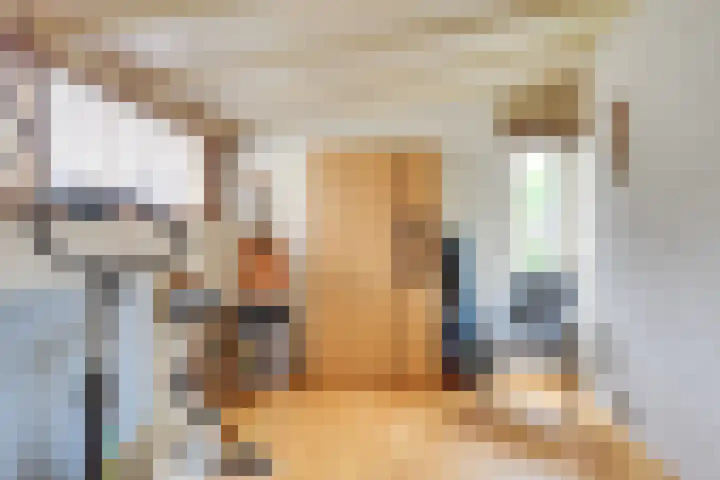 Brugstraat 6 A Mierlo thumbnail 33