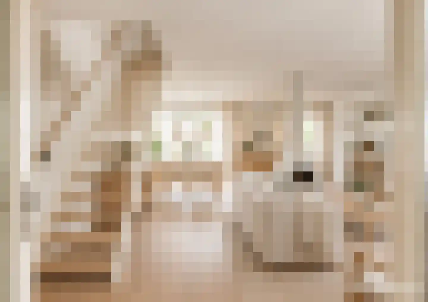 Brugstraat 6 A Mierlo thumbnail 4