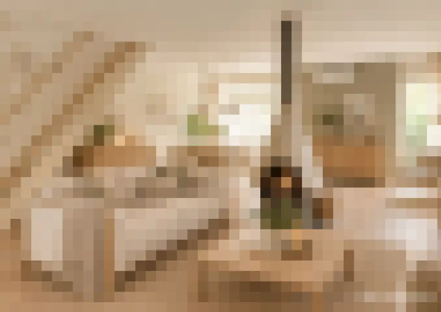 Brugstraat 6 A Mierlo thumbnail 9