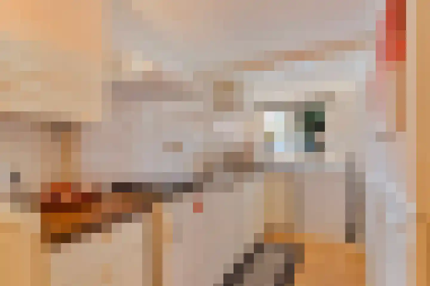 Brugstraat 7 Grave thumbnail 20
