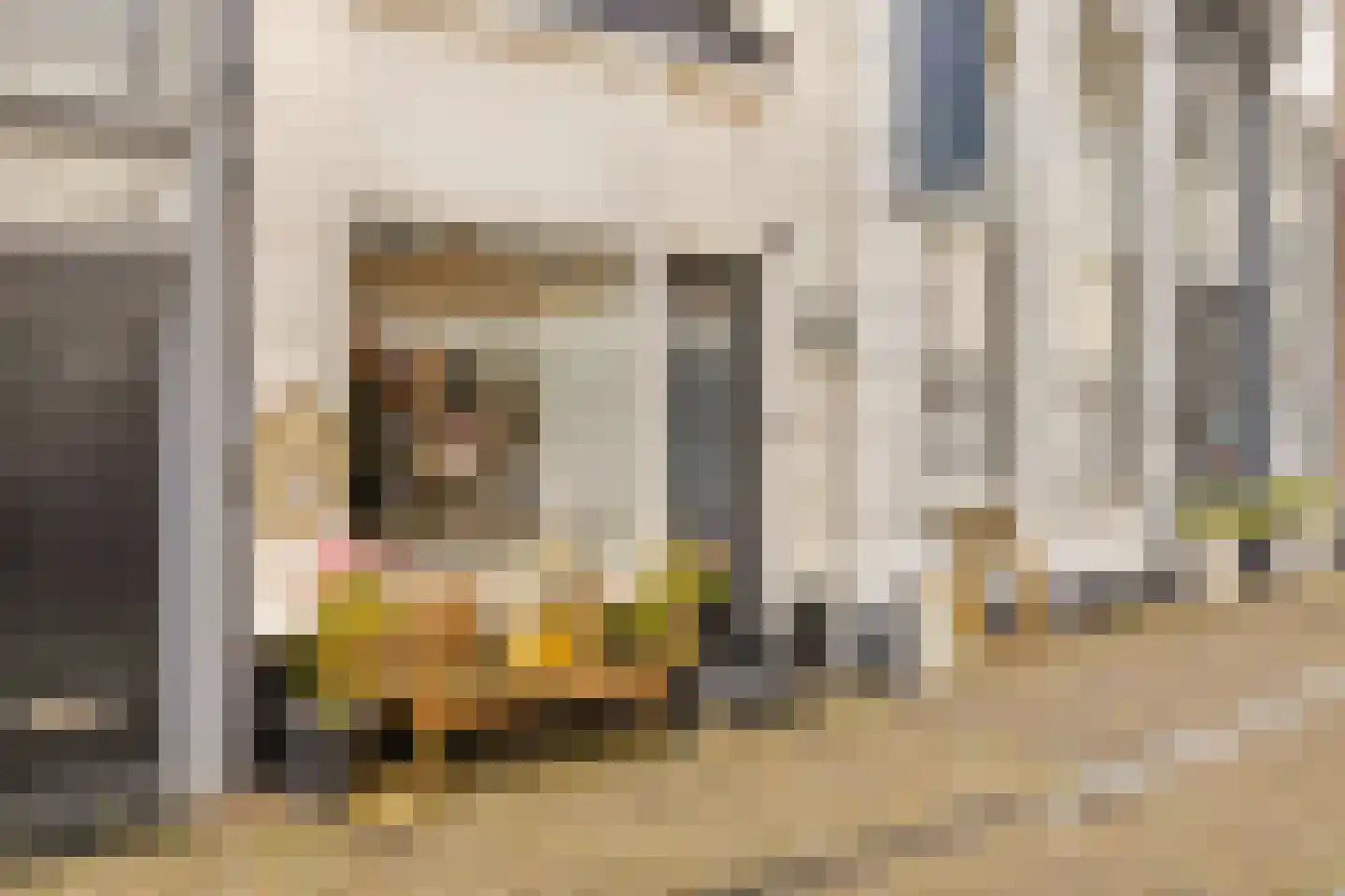 Brugstraat 7 Grave thumbnail 7