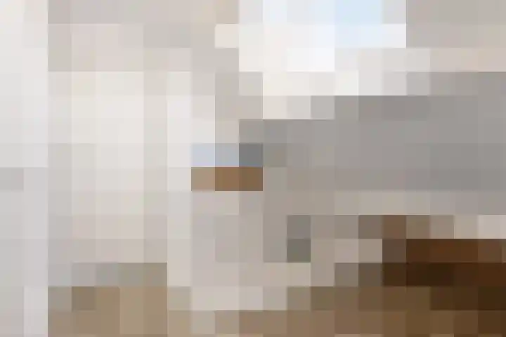 Brugstraat 70 C Mierlo thumbnail 32