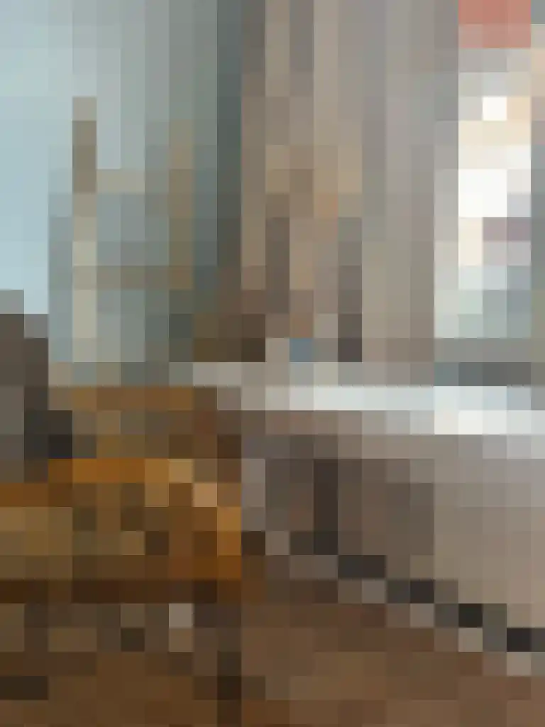 Brugstraat 73 Roosendaal thumbnail 5