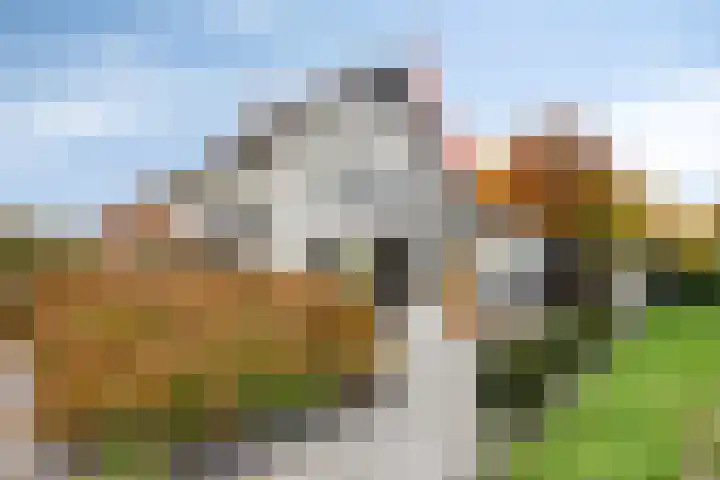 Brugstraat 74 Vinkel thumbnail 66