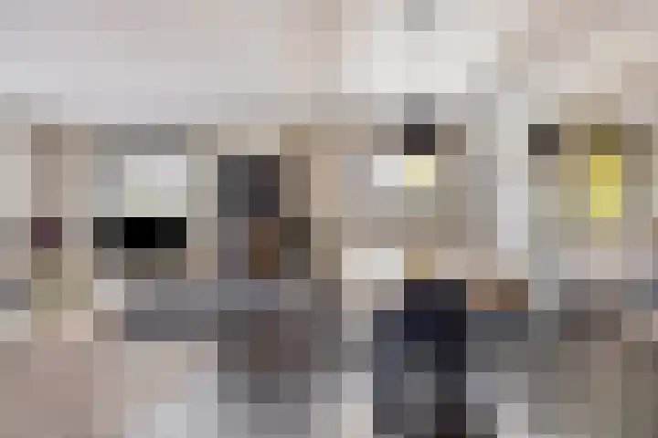 Brugstraat 74 Vinkel thumbnail 7
