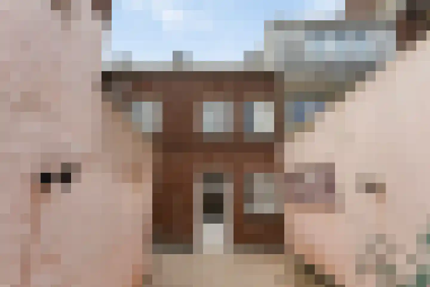 Brugstraat 8 Roermond thumbnail 50