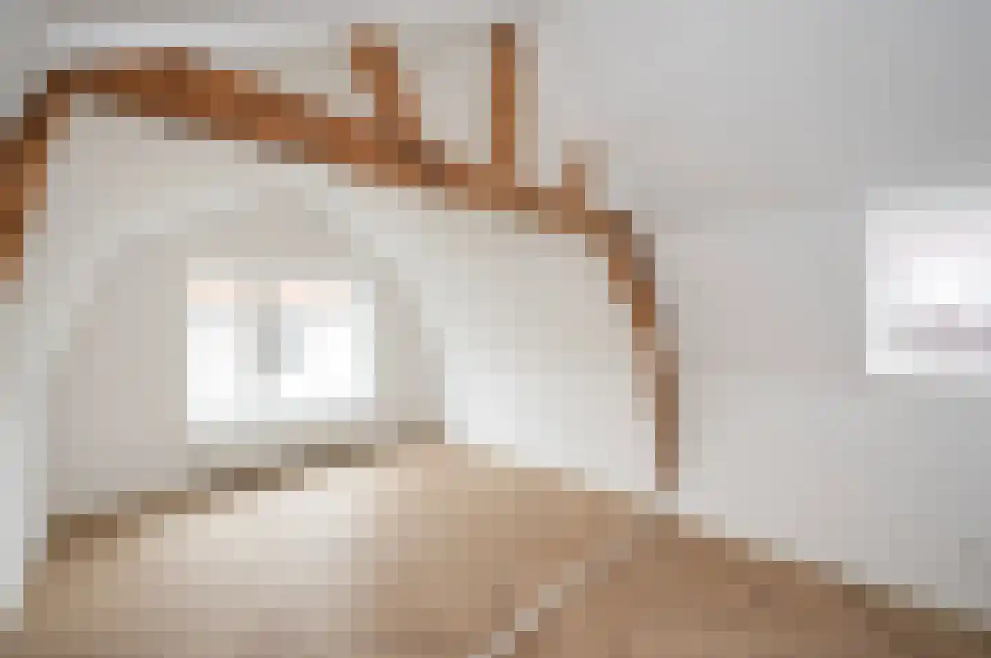 Brugstraat 8 Zwammerdam thumbnail 16
