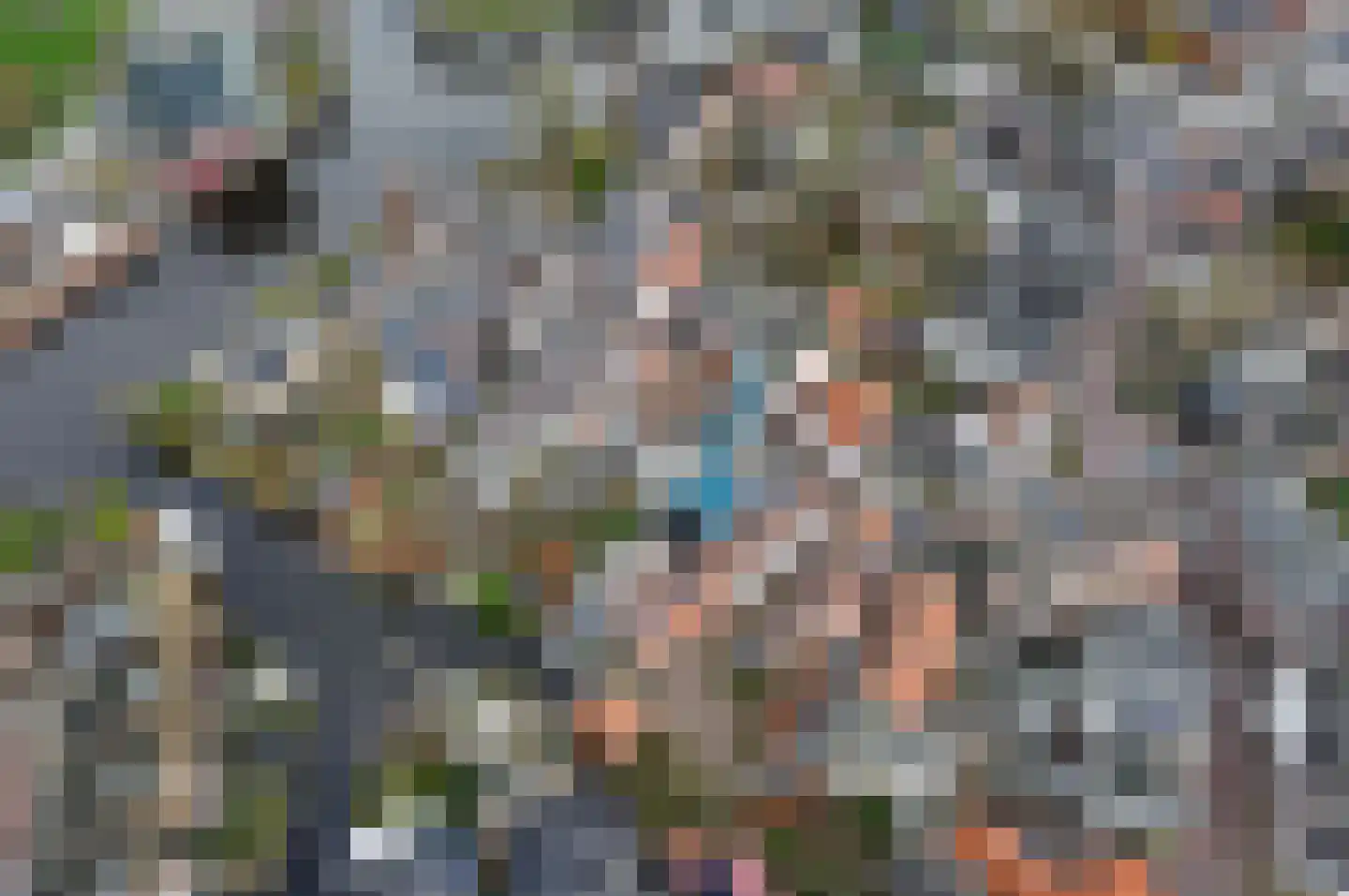 Brugstraat 8 Zwammerdam thumbnail 4