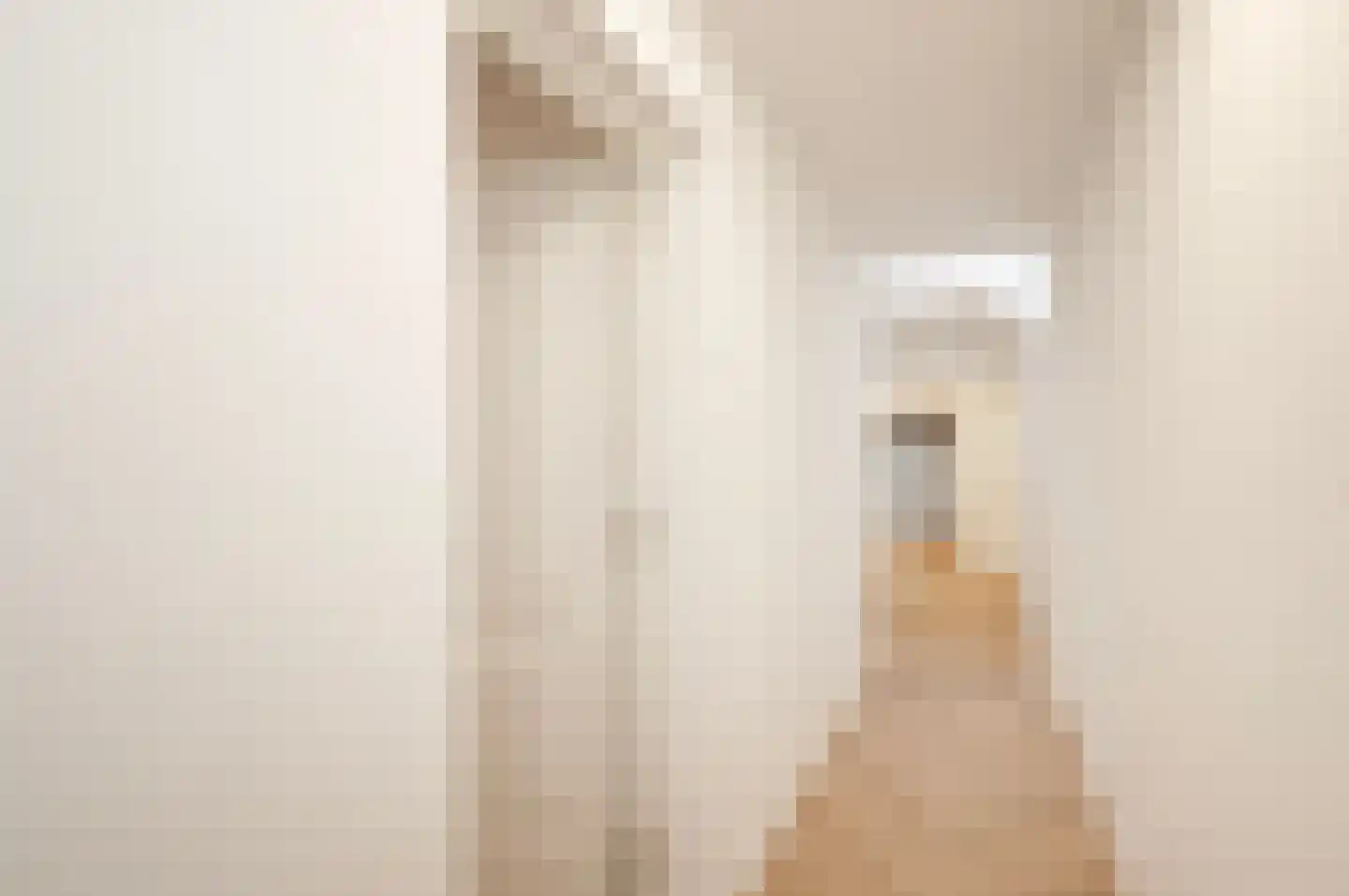 Brugstraat 8 Zwammerdam thumbnail 9