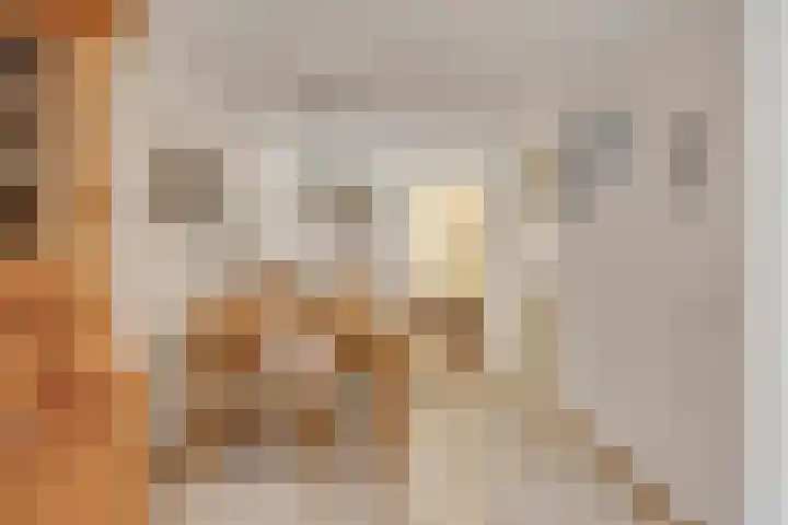 Brugstraat 9 Mierlo thumbnail 10