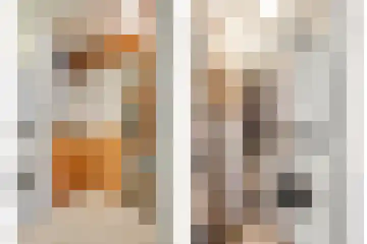 Brugstraat 9 Mierlo thumbnail 17