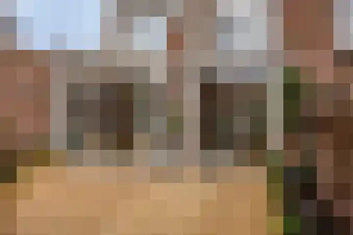 Brugstraat 9 Mierlo thumbnail 29