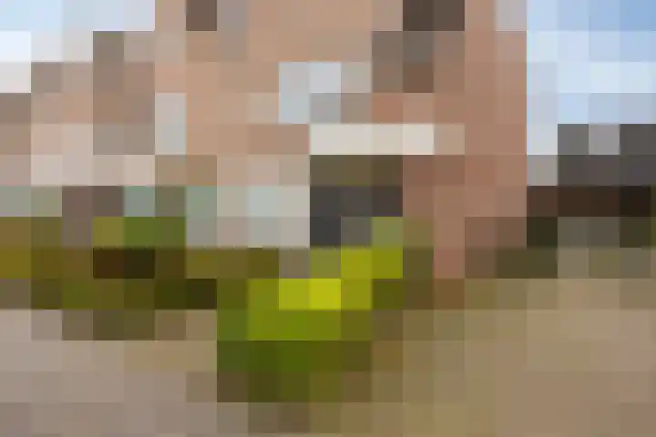Brugstraat 9 Mierlo thumbnail 36