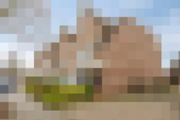 Brugstraat 9 Mierlo thumbnail 37