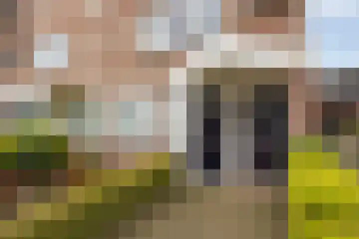 Brugstraat 9 Mierlo thumbnail 38