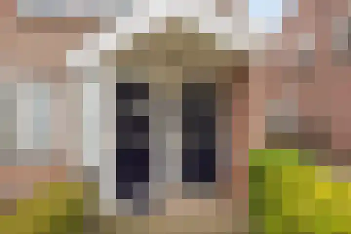 Brugstraat 9 Mierlo thumbnail 39
