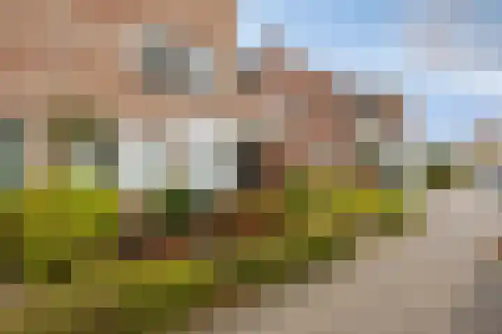 Brugstraat 9 Mierlo thumbnail 40
