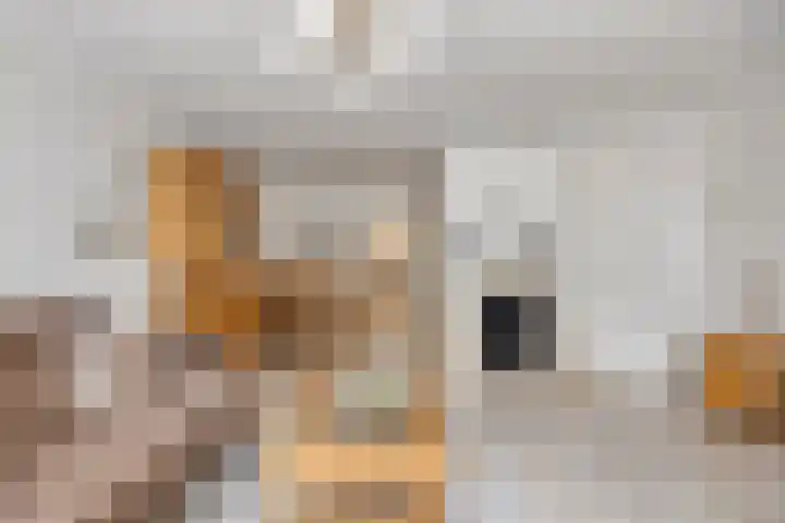 Brugstraat 9 Mierlo thumbnail 5