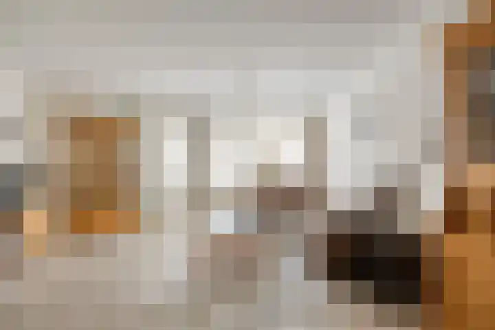 Brugstraat 9 Mierlo thumbnail 6