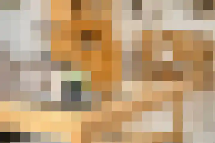 Brugstraat 9 Mierlo thumbnail 9
